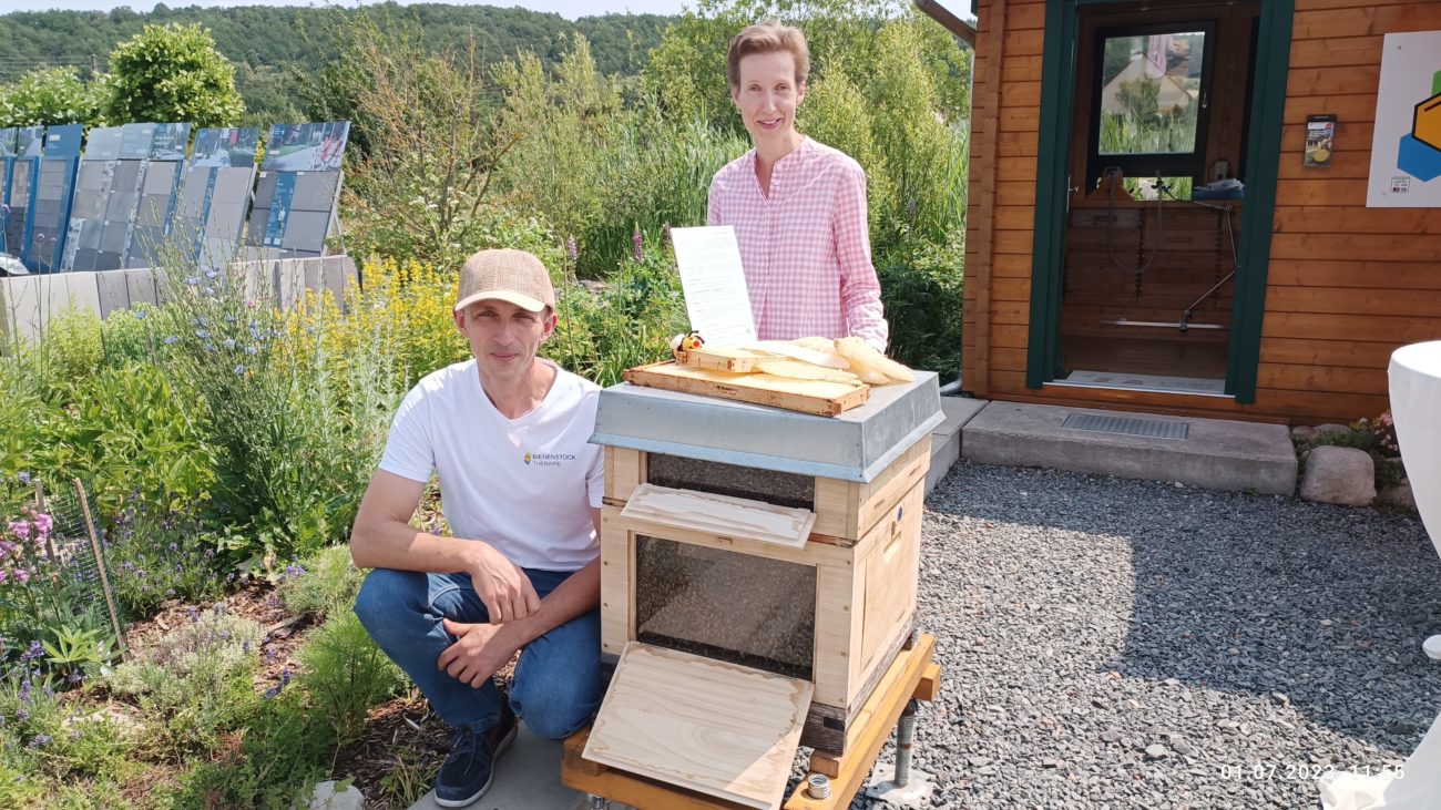 Bienenstocktherapie